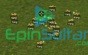 340M YANG