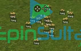 800 M YANG