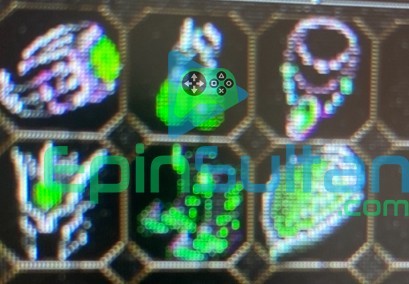 +9 farm set 6 parça