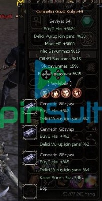 95 SEVİYE BSURA