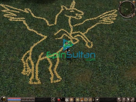 TEST ON NUMARA SW GELİYOR