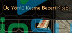 ÜÇ YÖNLÜ KESME 8x 100 TL